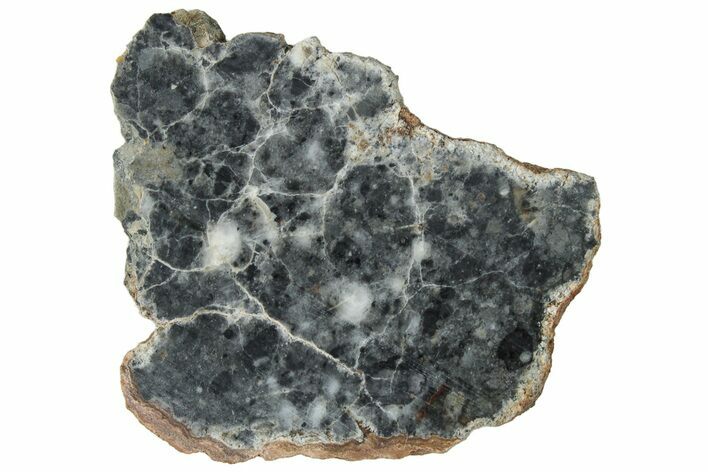 Lunar Meteorite ( g) Slice - Bechar #313800